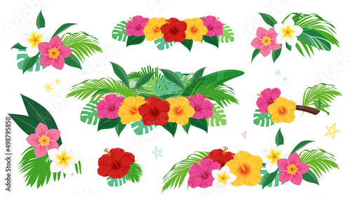トロピカルな植物のイラスト素材セット