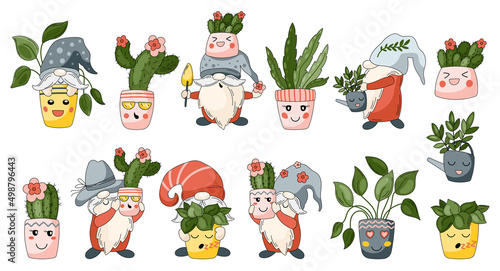 Garden gnomes with house plants