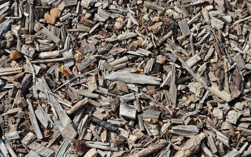 Texture, sawdust on the ground, small chips, wood shavings