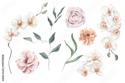 Watercolor Set with Roses, Orchids and Foliage.