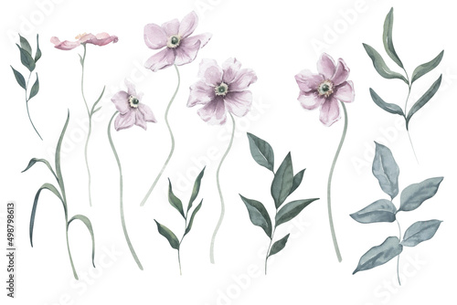 Watercolor Set with Cosmos Flowers and Foliage.
