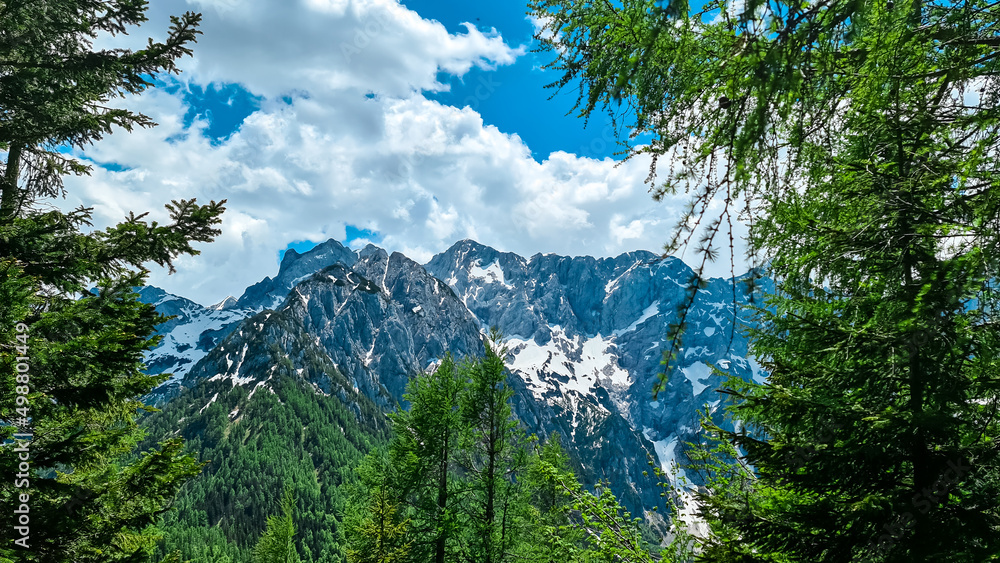 Obraz premium Scenic view through a forest on the summit Jezerska Kocna in Kamnik Savinja Alps in Carinthia, border Austria and Slovenia. Mountain peaks in the Vellacher Kotschna. Mountaineering. Freedom concept