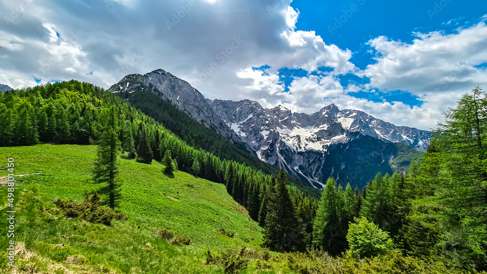 Alpine green meadow in spring with scenic view on rocky sharp summits of Kamnik Savinja Alps in Carinthia, border Austria and Slovenia. Mountain peaks in Vellacher Kotschna. Mountaineering. Freedom