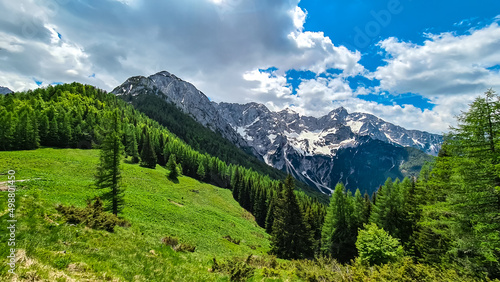Alpine green meadow in spring with scenic view on rocky sharp summits of Kamnik Savinja Alps in Carinthia  border Austria and Slovenia. Mountain peaks in Vellacher Kotschna. Mountaineering. Freedom