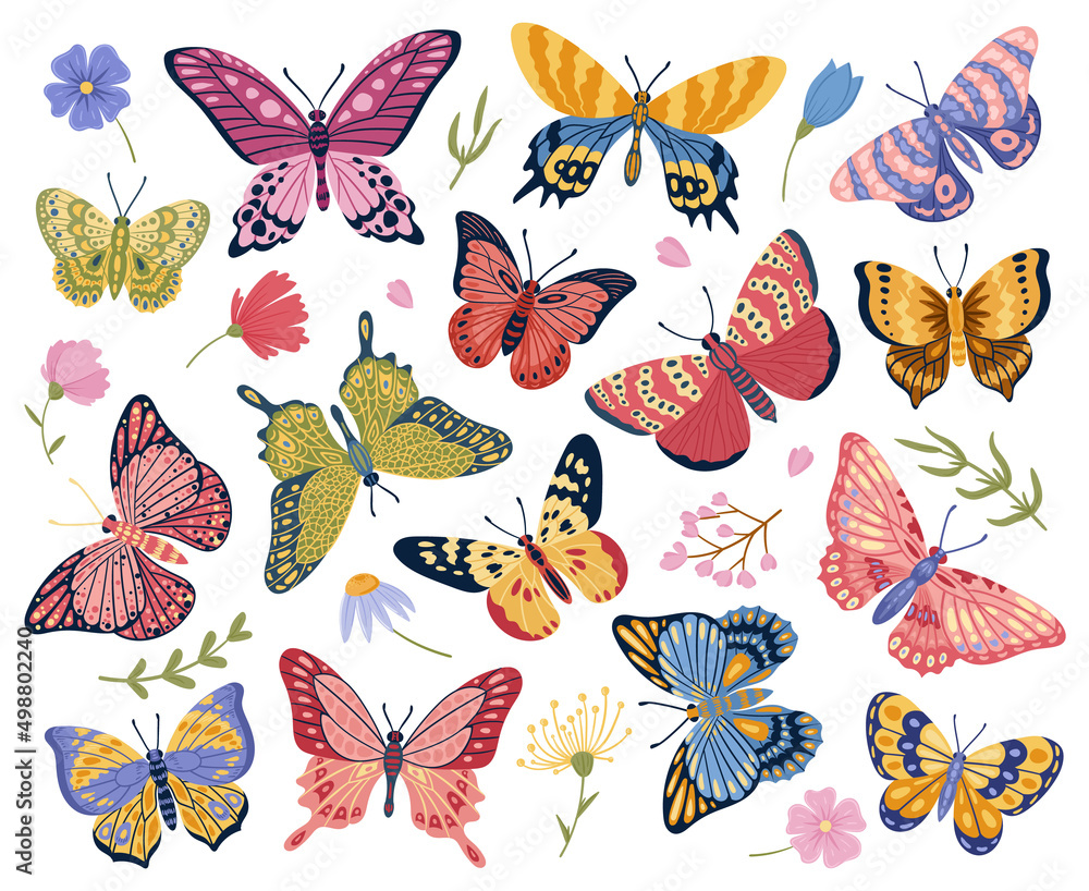 Naklejka Cartoon butterfly, moth insects, exotic flying butterflies. Elegant wings insects, colorful moths and floral elements vector symbols illustrations set. Tropical butterflies collection