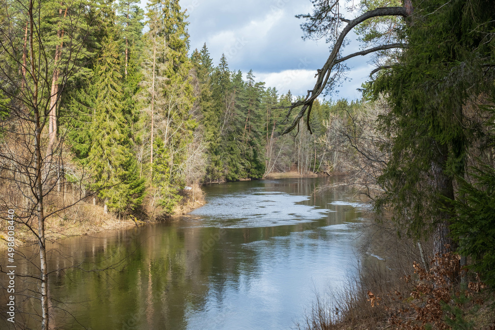 View to the river Salaca from high sandstone cliff in Skanaiskalns Nature park in April in Mazsalaca in Latvia View to the river Salaca from high sandstone cliff in Skanaiskalns Nature park in April in Mazsalaca in Latvia