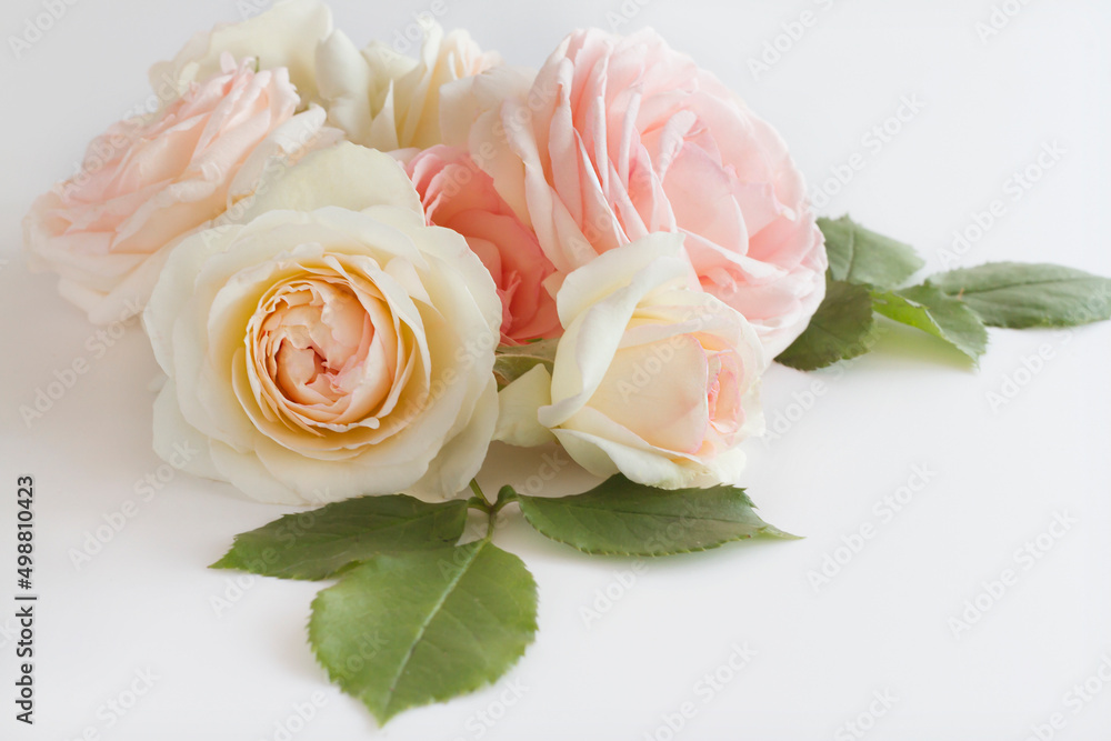 Φωτογραφία Bouquet of vintage romantic roses in pastel watercolor tones on a gray and white background