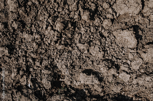 Background, texture of dug up earth, soil. Chernozem, top view.