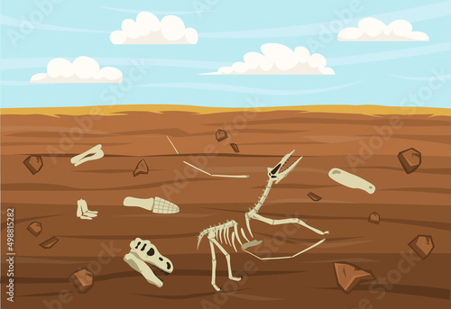 Dinosaur Fossils Illustration