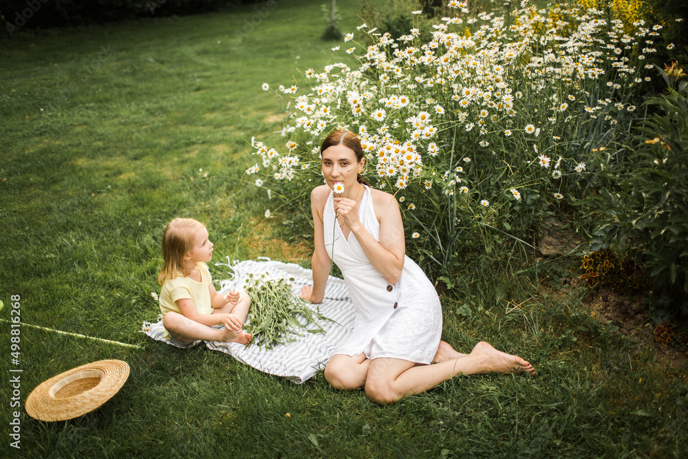 mother plays with her daughter, relax, collect daisies
