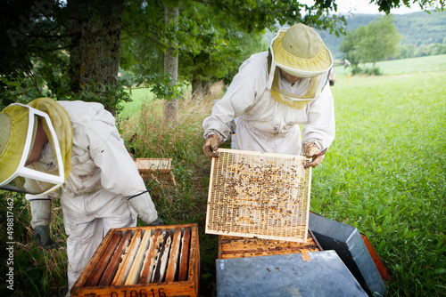 Harvesting honey from a beekeeper in France. photo