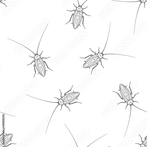 Seamless pattern of monochrome mustachioed cockroach illustration. Vector illustration template