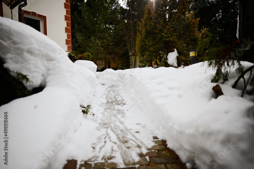Wallpaper Mural Backyard in early spring Torontodigital.ca