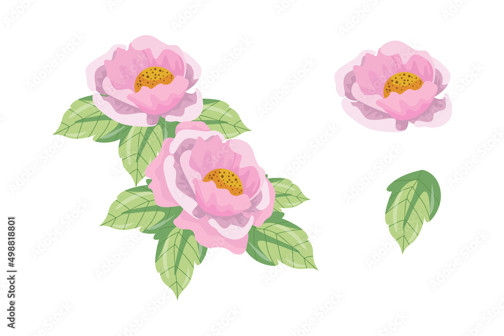 A variety of colorful arrangements of beautiful leaves and flowers A variety of colorful arrangements of beautiful leaves and flowers