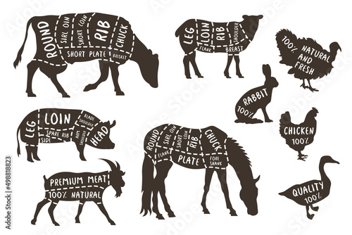Illustrations for butcher shop. Cutting lines of different parts of domestic animals. Vector butcher animal part, meat diagram scheme rabbit and lamb, cattle EPS