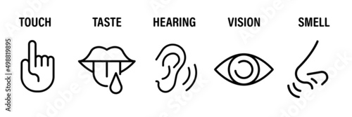 Five senses vector icons set. vision, hearing, touch, taste, smell