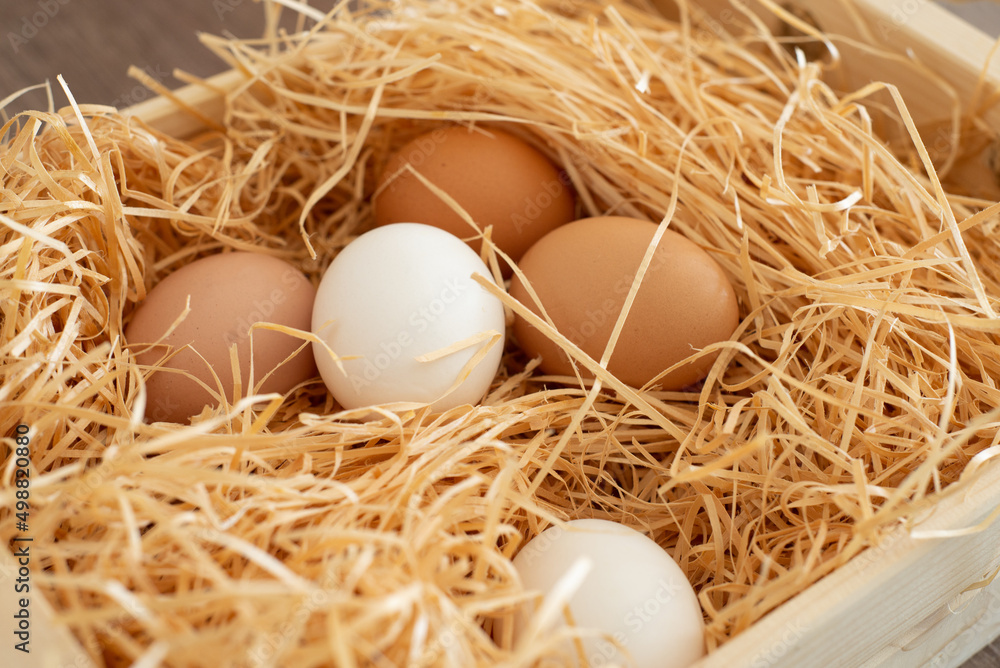 Fresh eggs in hay Fresh eggs in hay