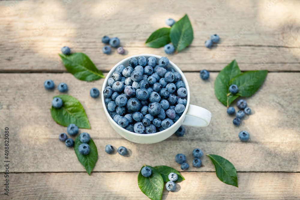 A bowl with fresh bilberry (Vaccinium myrtillus) on an old wooden bench. Fresh garden blueberries. A bowl with fresh bilberry (Vaccinium myrtillus) on an old wooden bench. Fresh garden blueberries.