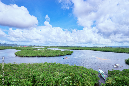 Beautiful landscape with green mangroves sea lagoon, National Park, Siargao Island, Philippines.