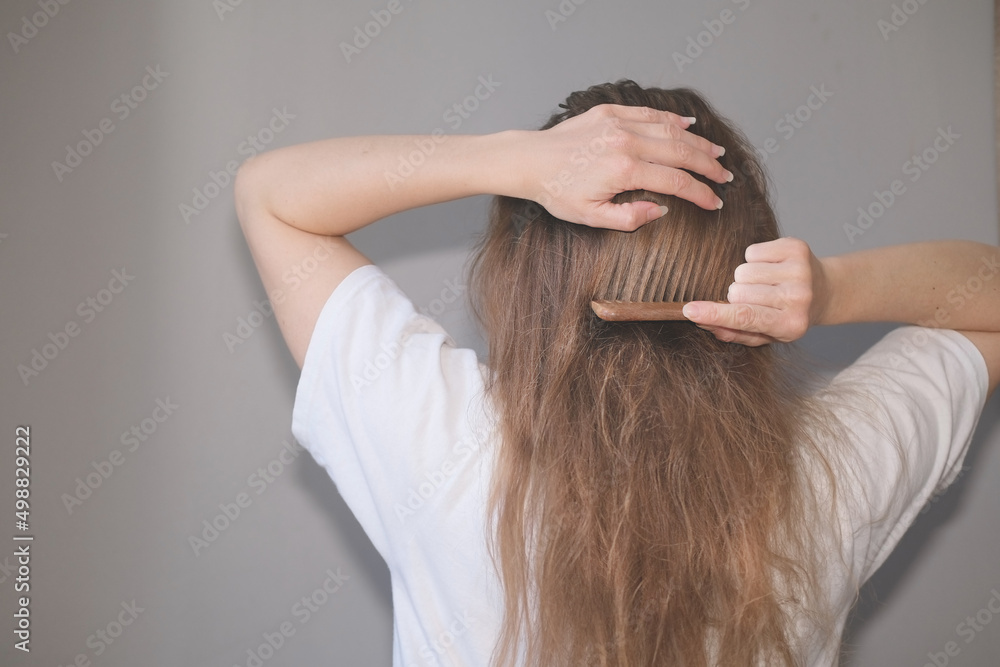 Fototapeta premium Woman combing her tangled blond hair in a white t-shirt on a gray background. Tangled hair. Combing hair