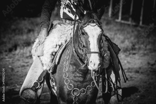 person with a horse © Fagner Almeida