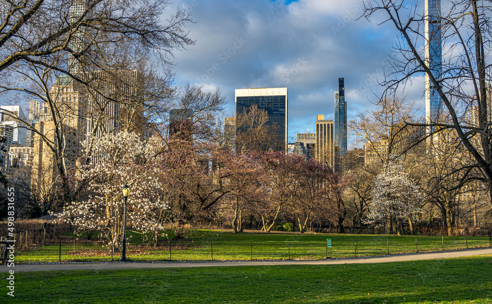 Obraz premium Central Park in spring