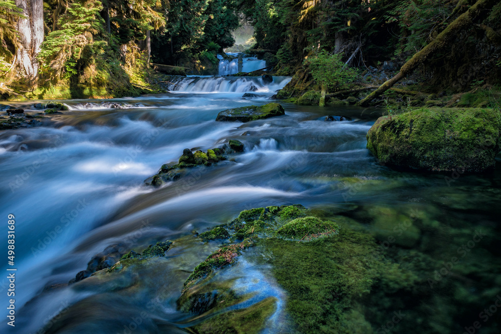Fototapeta premium waterfall and cascades in the forest