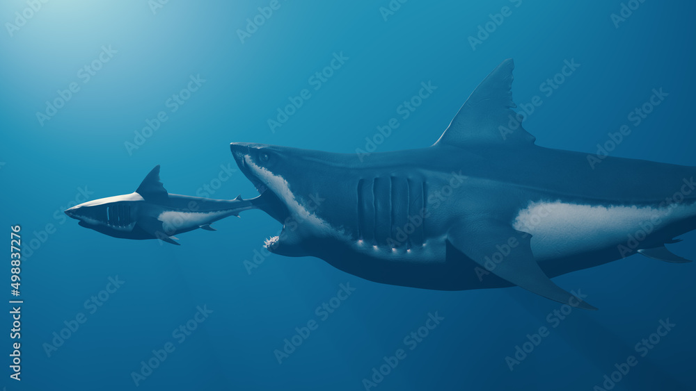 Big fish eat small fish, Finance or law of nature. Horizontal composition no clipping path.