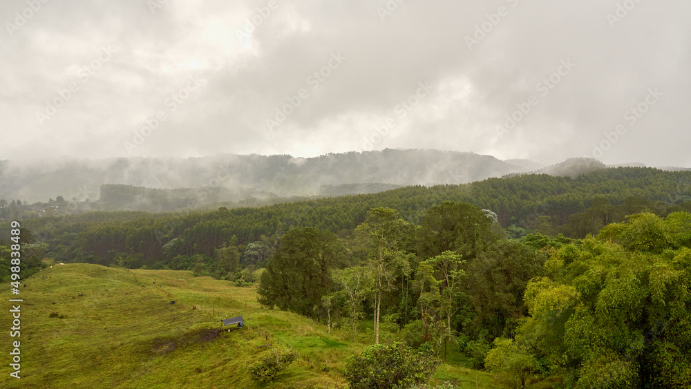 Fototapeta premium fog in the mountains