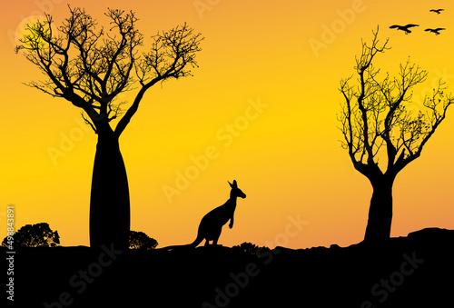 silhouette landscape of boab trees and kangaroo