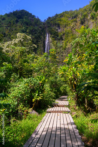 Boardwalk heading towards the Waimoku Falls at the end of the Pipiwai Trail in the Haleakala National Park on the road to Hana, east of Maui island, Hawaii, United States