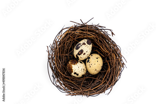 Raw quail eggs on a white background in a nest, top view, healthy eating concept