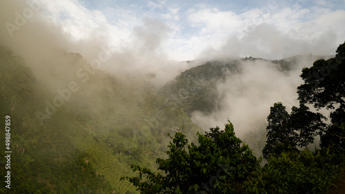 coffee landscape