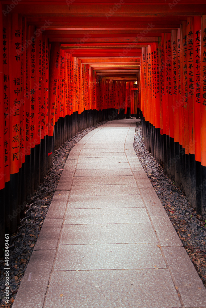 Fototapeta premium architecture, asia, corridor, culture, famous, history, japan, japanese, kyoto, landmark, orange, path, red, religion, shrine, temple, tourism, traditional, travel, trip