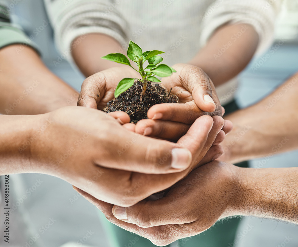 Help and well grow together. Cropped shot of a group of people holding a plant growing out of soil. Help and well grow together. Cropped shot of a group of people holding a plant growing out of soil.