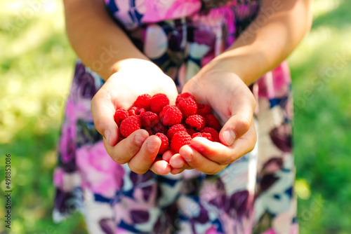 Defocus raspberries in hand. Female hands holding fresh red raspberries on green nature background. Freshly harvest. Healthy eating, dieting fruits, close-up. Hello summer. Crop, harvest Out of focus