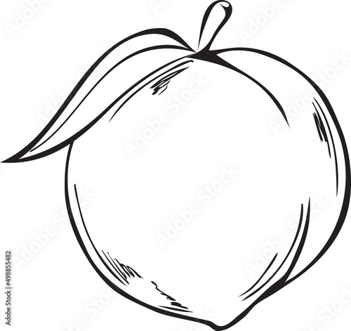 Peach with leaf