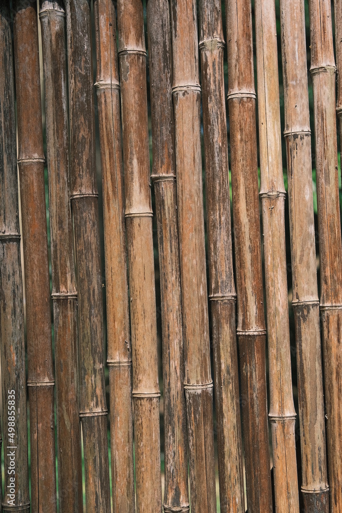 bamboo background bamboo background