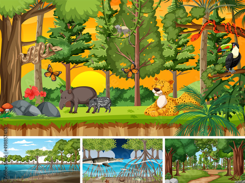 Scenes with wild animals in the forest
