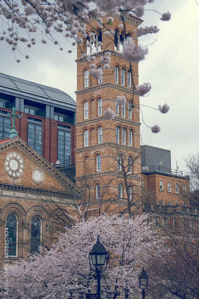 Fototapeta premium LGBT Washington Square Park & Environs Judson Memorial Church NewYorkUniversity NYU