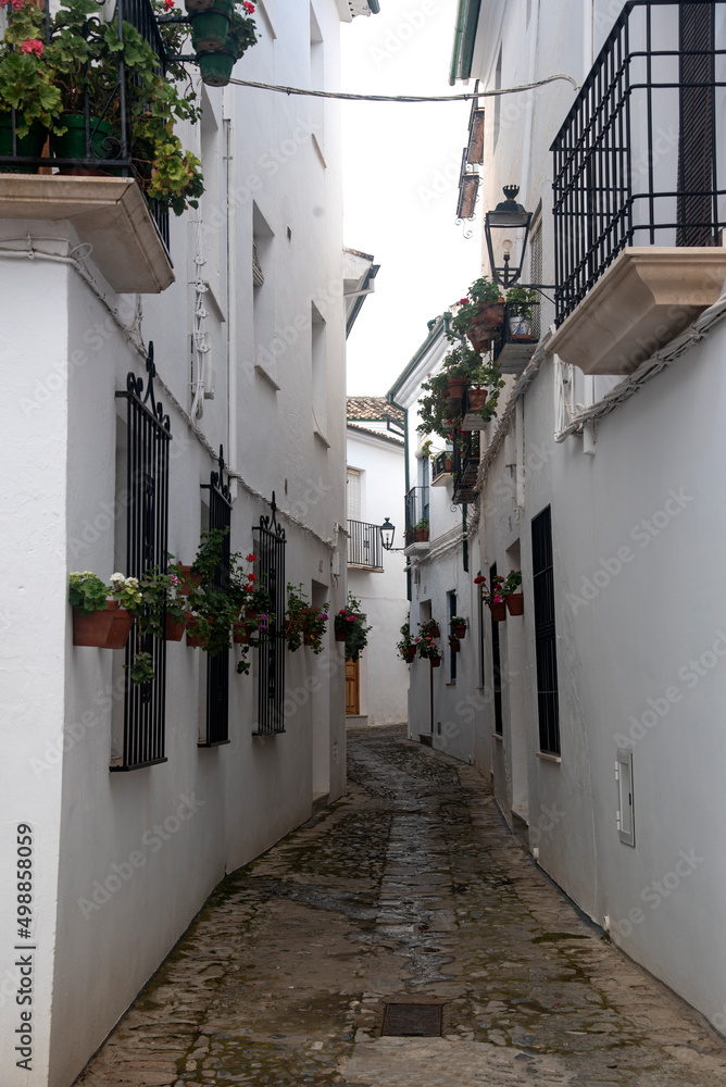 Fototapeta premium narrow andalusian white streets with flowers pots