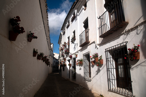 narrow andalusian white streets with flowers pots