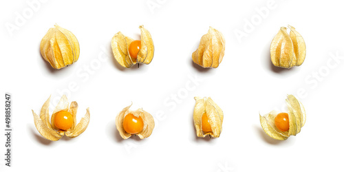 Collection of physalis berries or golden berry isolated on white background. Physalis fruit food