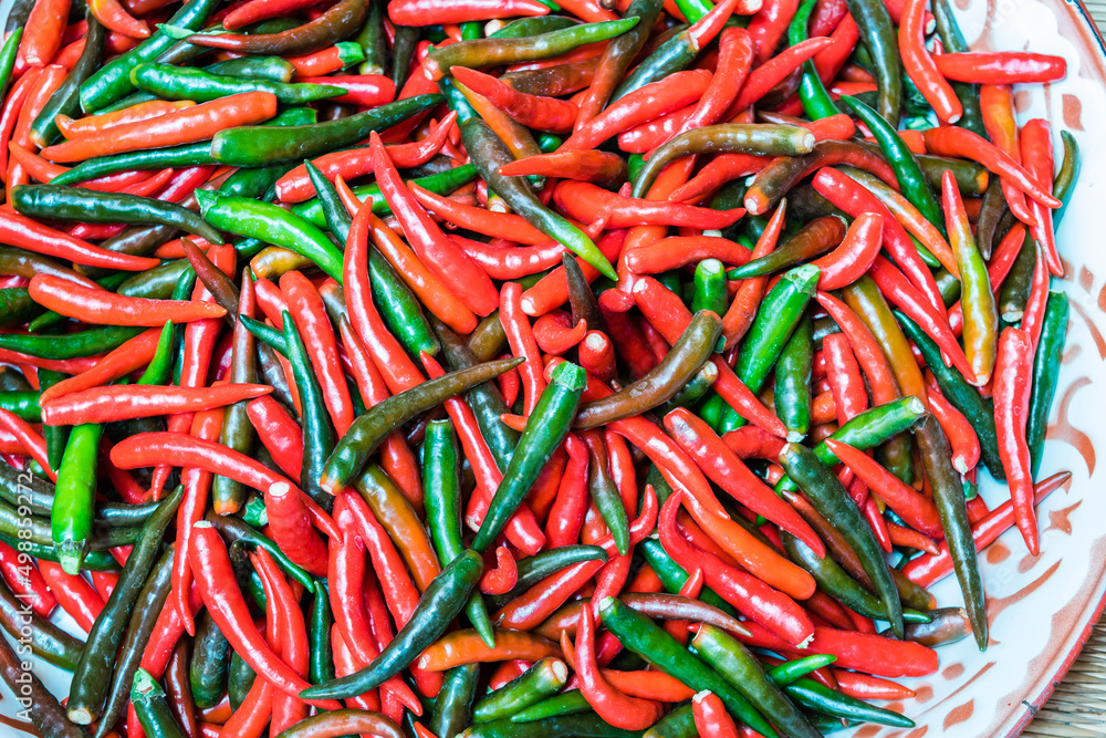 Fresh chilli pile