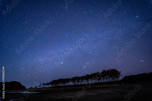 Milky Way with Pine Trees 솔밭에서 바라본 은하수