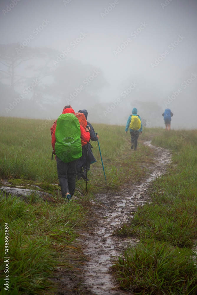 Hiker with backpack relaxing young woman hiking holiday Hiker with backpack relaxing young woman hiking holiday