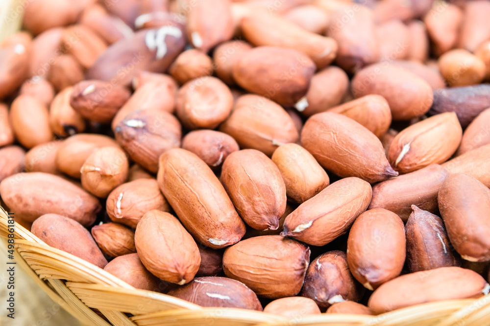 raw uncooked peanut raw uncooked peanut