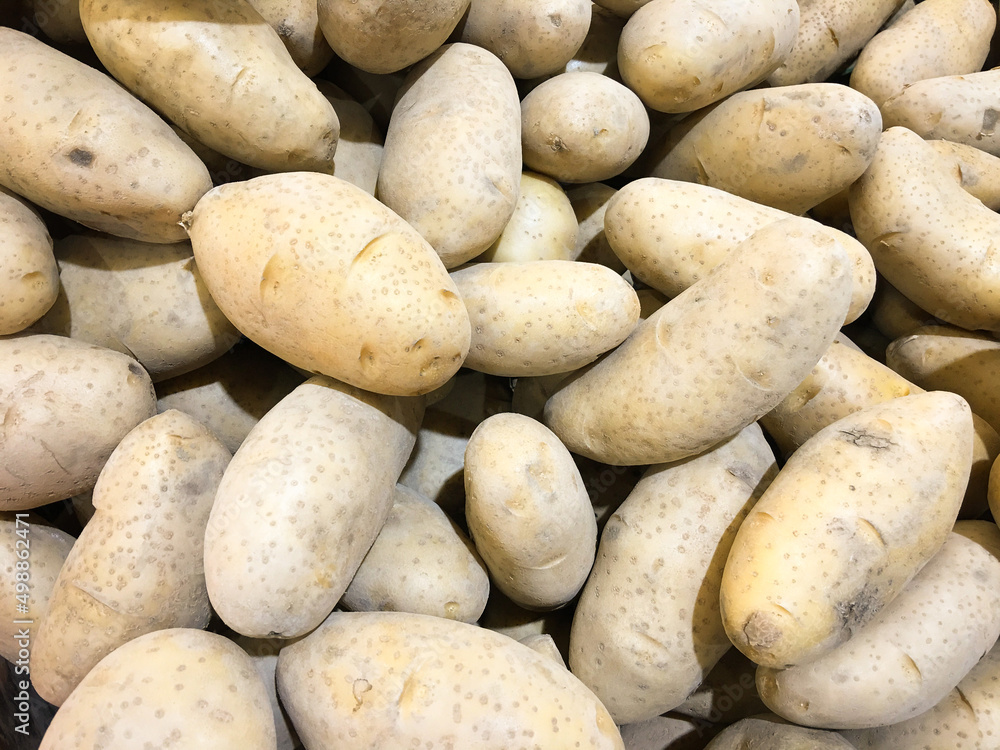 The fresh potatoes sold in the bazar market. Agriculture popular organic ingridient food texture background. The fresh potatoes sold in the bazar market. Agriculture popular organic ingridient food texture background.