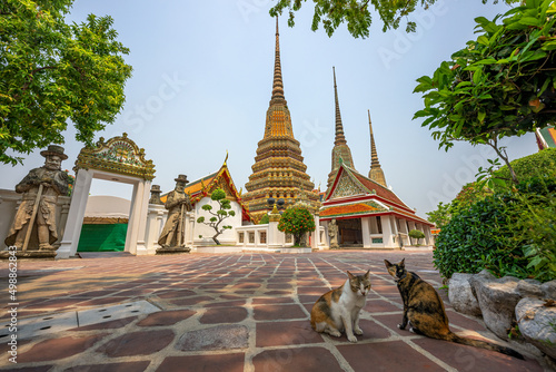 Wat Pho that is a Buddhist temple complex in the Phra Nakhon District, Bangkok, Thailand. There are two cats that living there as foreground.