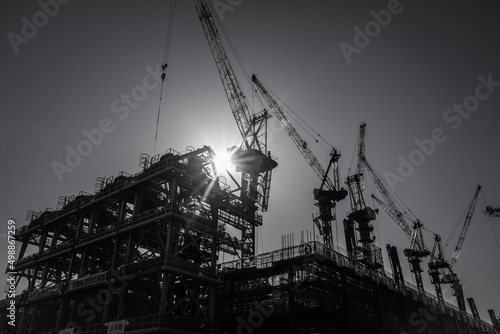 クレーンが並ぶ工事現場